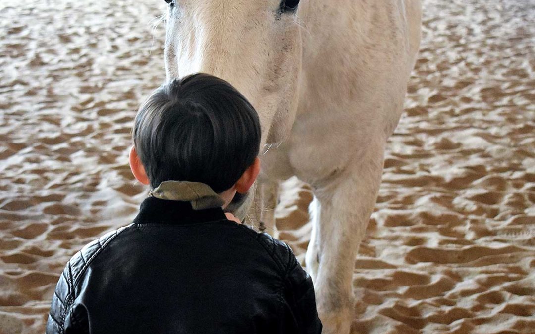 Healing with Horses