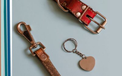HopeWest Delta Holds Pet Loss Support Group