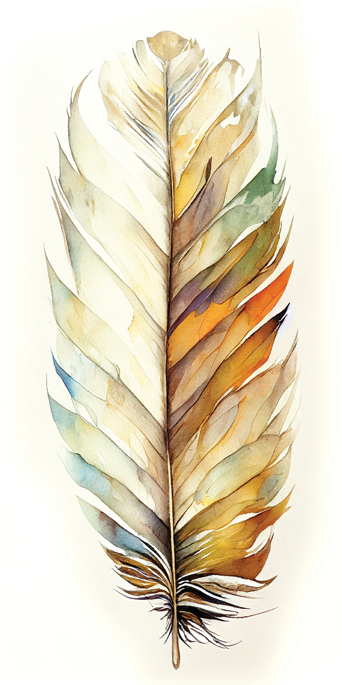 Illustration of Feathers in Watercolor Painting Style