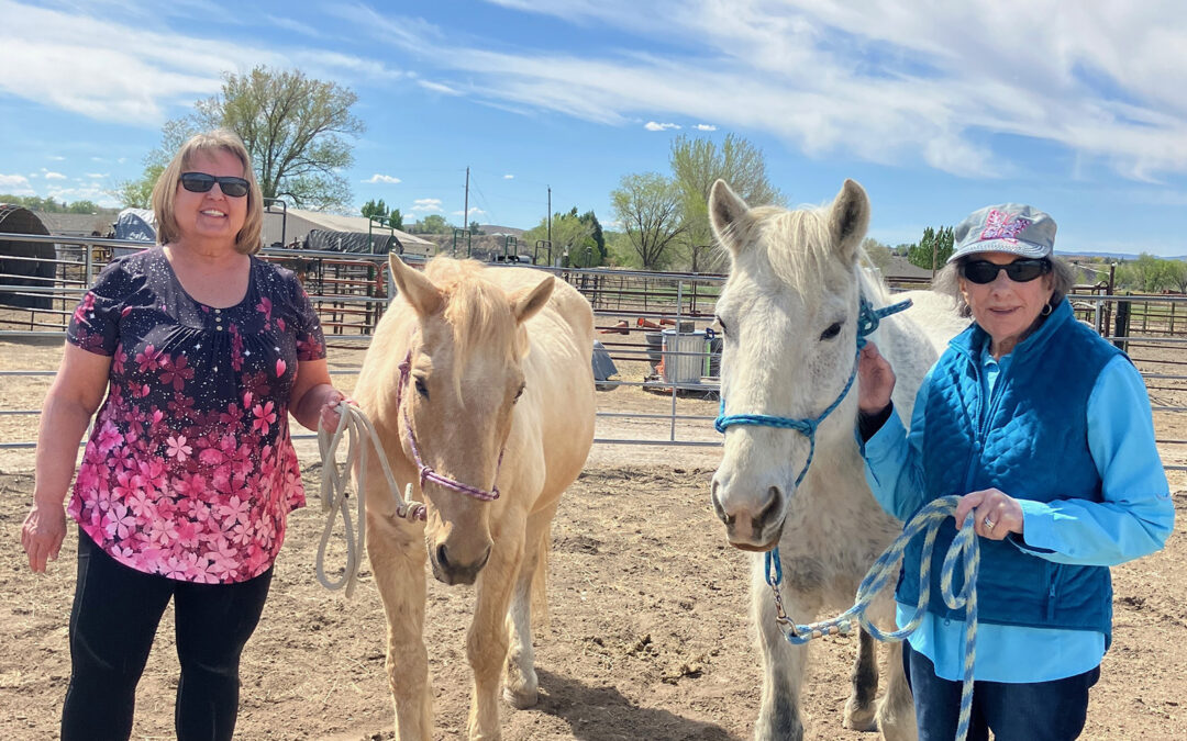 Volunteers Contribute to Meaningful and Memorable HopeWest Experiences