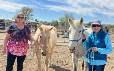 Volunteers Contribute to Meaningful and Memorable HopeWest Experiences