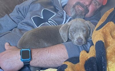 Ryan Matthew Gilbert